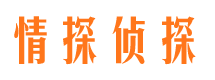 泽库侦探公司